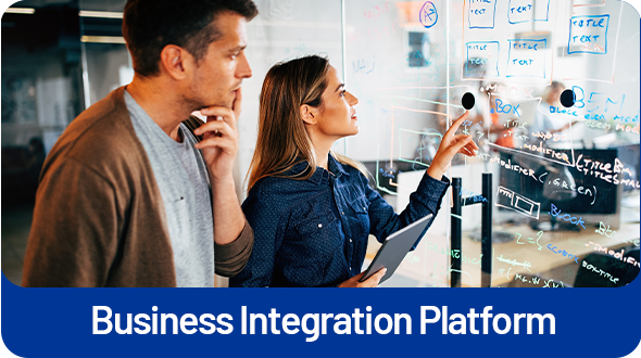 Business Integration Platform